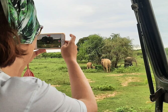 Full Day Safari Tour Yala - Important limits to keep in mind