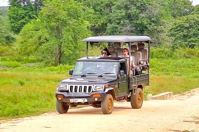 Fully Private Udawalawe National Park Safari Tour - Lunch and the end of the day