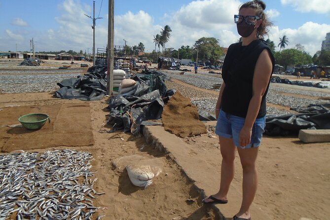 Fun and Scenic Negombo Tour by Tuk Tuk - The fish market beside the sea