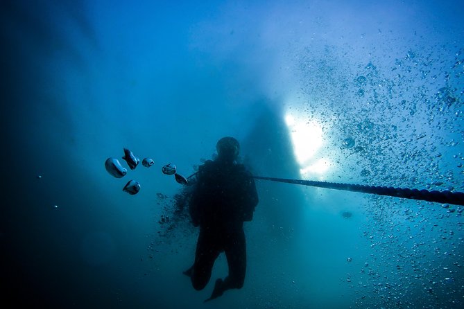 Fun Dives For Certified Divers - Who should book this experience?