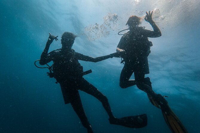 Fun Dives For Certified Divers - Group size and the feel of the session