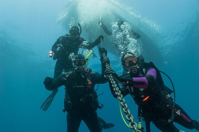 Fun Dives For Certified Divers - What happens before you enter the water