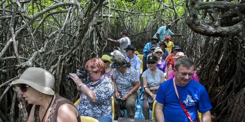 Galle and Bentota Day Tour from Colombo - Cinnamon gardens and the useful question of sales pressure
