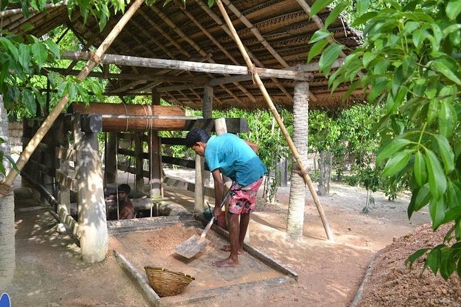 Galle Day Private Tour Beruwala/Bentota/Kosgoda/Ahungalla - Turtle conservation at Induruwa