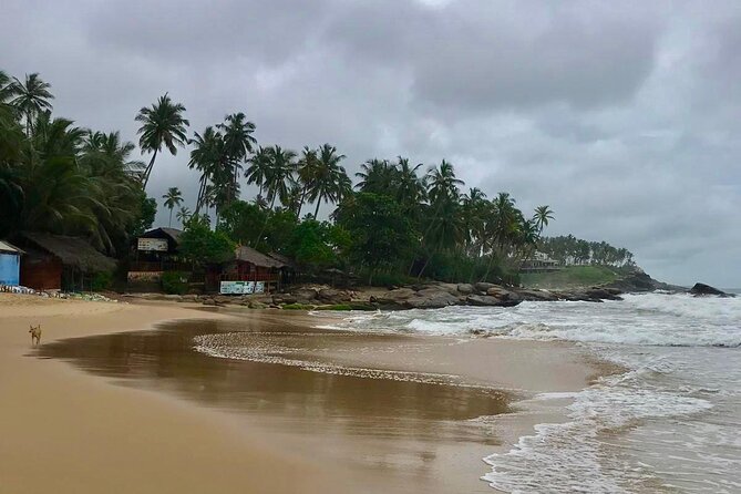 Galle Day Tour - The Community Tsunami Museum and the 2004 disaster