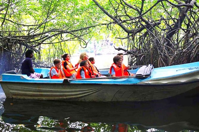 Galle Day Tour from Colombo or Negombo by Private Car , Van with Driver - Bentota Beach starts the coastal run