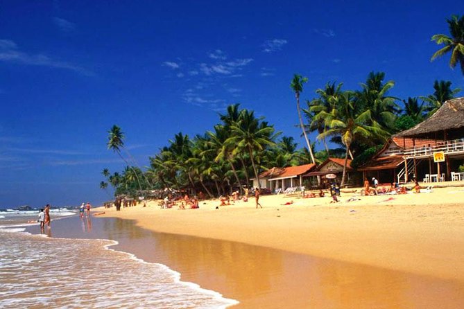 Galle Day Tour from Colombo or Negombo by Private Car , Van with Driver - Hikkaduwa adds a second beach stop