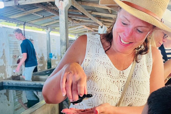 Galle Day Tour with Turtle Hatchery & River Boat Safari - Starting with private transport and local flexibility