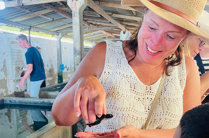 Galle Day Tour with Turtle Hatchery & River Boat Safari - Sea turtles at the hatchery and turtle beach