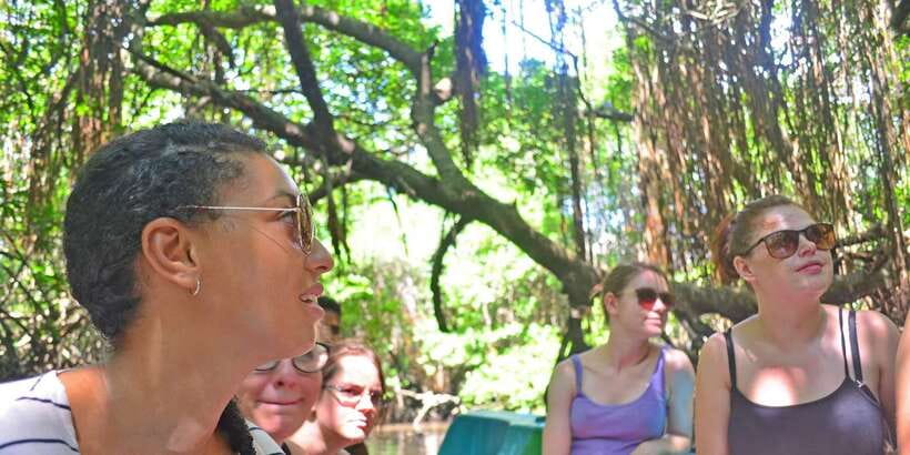 Galle Day Trip with River Safari, Sea Turtles & Tea Factory - Key points to know before booking