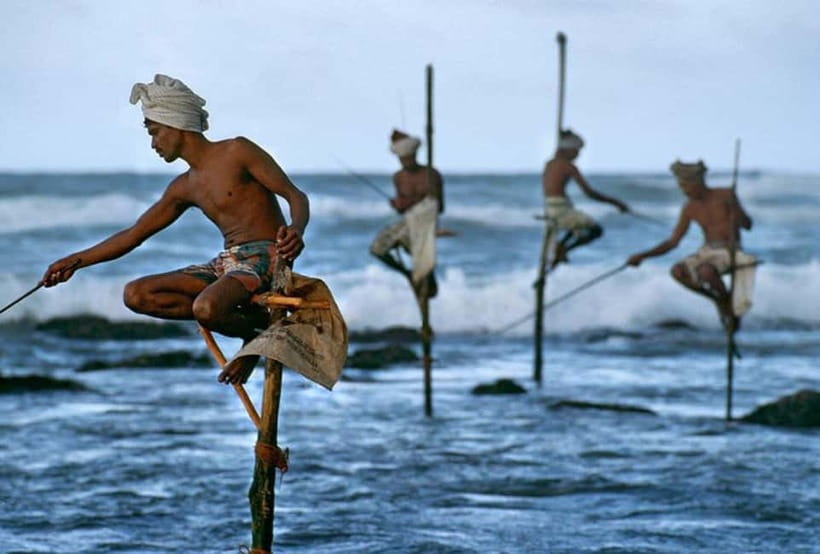 Galle Fort, Bentota, Hikkaduwa Beach: Day Tour from Colombo - Kosgoda focuses on turtle conservation