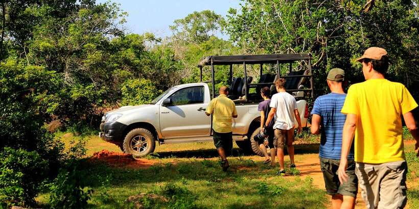 Galle/Mirissa/Tangalle:Udawalawa Safari & Elephant Orphanage - Why Udawalawe is worth the long ride