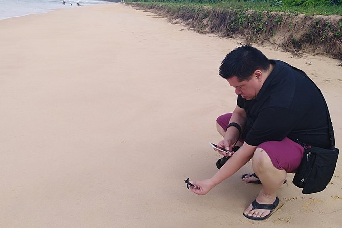 Galle Sightseein Rickshaw Tour - Habaraduwa Turtle Hatchery: a conservation stop