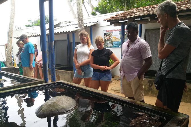 Galle sightseeing tour - Galle Fort: one hour inside the old walls