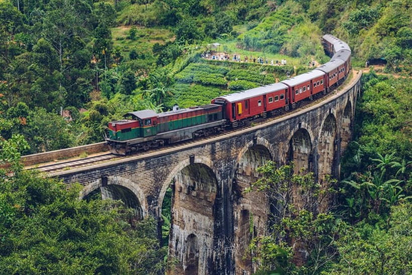 Get a private driver for day tours around Sri Lanka - Who should book this service