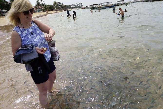 Glass Bottom Boat Tour and Snorkeling Hikkaduwa - What you may see around Hikkaduwa