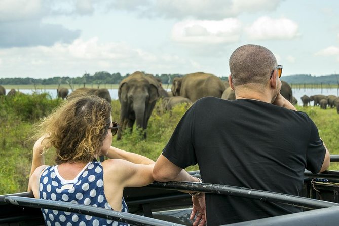 GO WILD! Double Safari Day Trip (Yala & Udawalawe) - Private & All Inclusive - Yala National Park: the leopard possibility