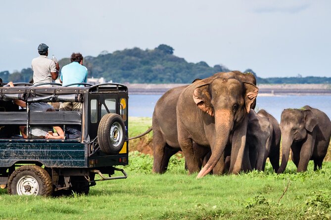 GO WILD! Double Safari Day Trip (Yala & Udawalawe) - Private & All Inclusive - Udawalawe National Park: the best opening act for elephants