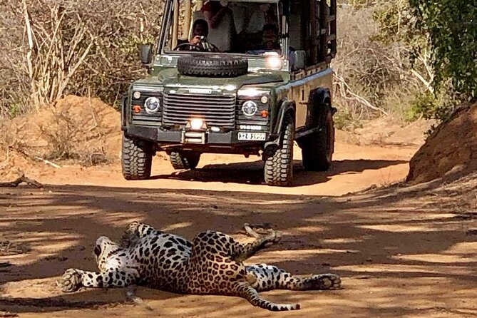 Guided Leopard Safari in Yala National Park in a Land Rover Defender - How Naveen tracks animals during the ride