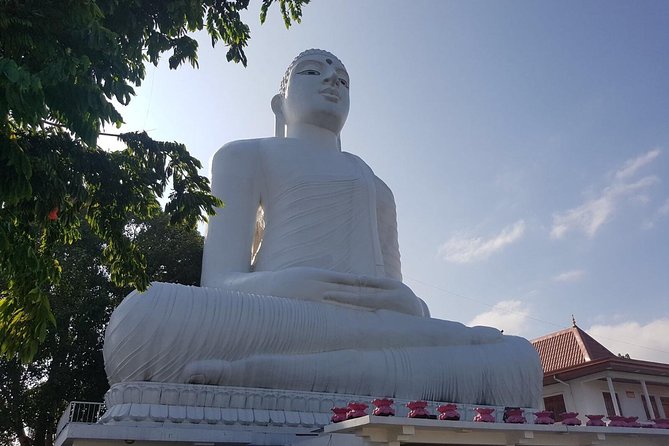 Half-Day Kandy City Tour by Tuk Tuk - The guides and the private format