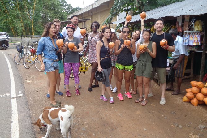 Half-Day Lagoon and Village Cycling Tour in Galle - Visiting an 18th-century Buddhist temple