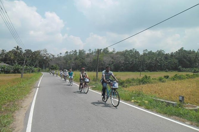 Half-Day Lagoon and Village Cycling Tour in Galle - Mangroves, lagoons, and native wildlife
