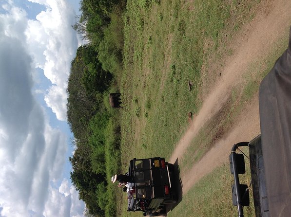 Half Day - Minneriya National Park Safari Tour From Habarana/Sigiriya - Why Minneriya is famous for elephants
