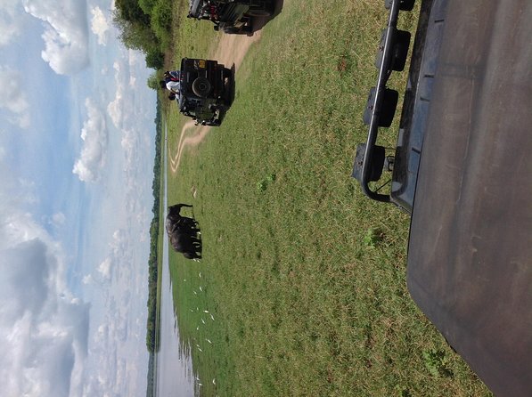 Half Day - Minneriya National Park Safari Tour From Habarana/Sigiriya - From Habarana or Sigiriya to the park entrance
