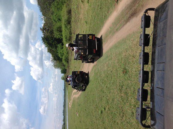Half Day - Minneriya National Park Safari Tour From Habarana/Sigiriya - The guiding limitation you should take seriously
