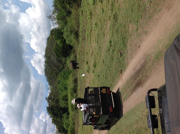 Half Day - Minneriya National Park Safari Tour From Habarana/Sigiriya - Three hours inside Minneriya National Park
