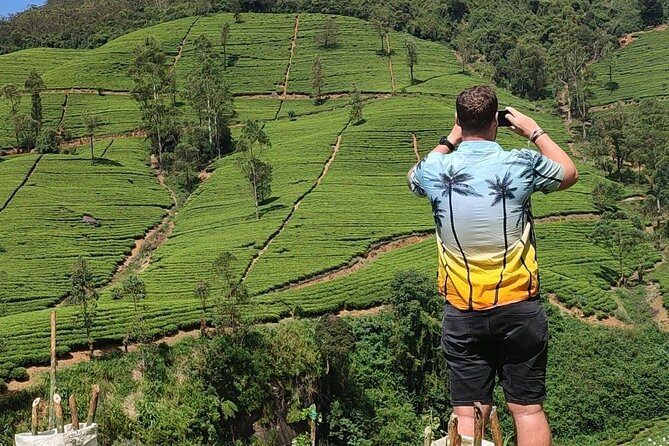 Half-Day Private Trip to Waterfalls and Tea Factory - Seeing three waterfalls without turning the day into a hike