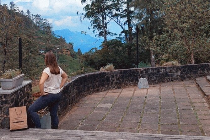 Half-Day Private Trip to Waterfalls and Tea Factory - What the $25 price really buys you