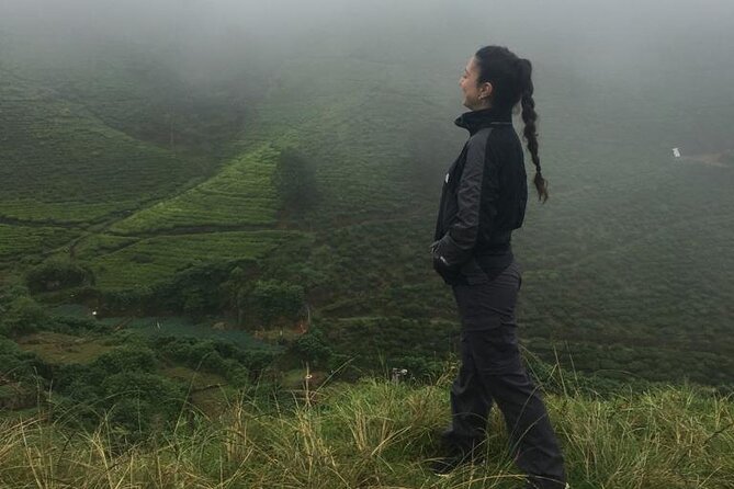 Half-Day Private Trip to Waterfalls and Tea Factory - Guides and the personal touch