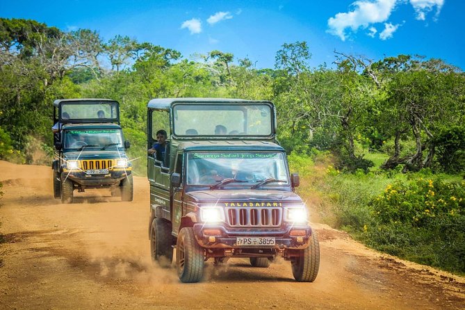 Half Day Safari at Yala National Park with Lunch - Booking Details That Matter