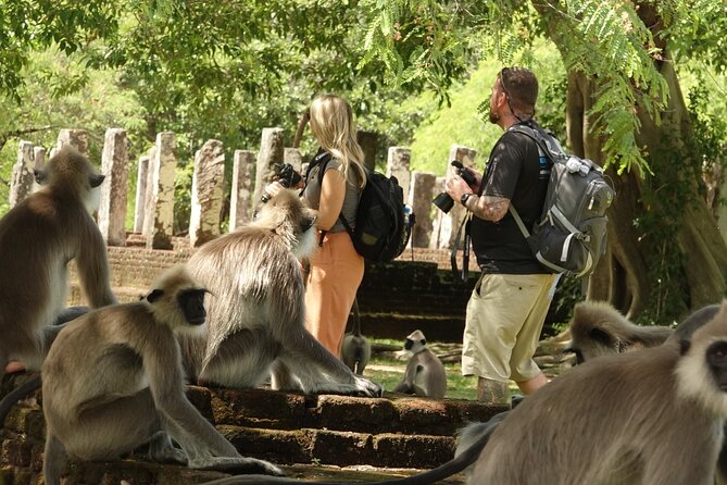 Half Day Safari Guided Tour - The Elephant Transit Home is a different experience