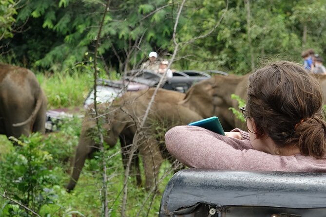 Half Day Safari Guided Tour - Who will get the most from this safari
