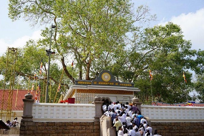 Half day tour - in Sacred city of Anuradhapura Or sacred city of Mihintale. - Lovamahapaya and the great Ruwanwelisaya