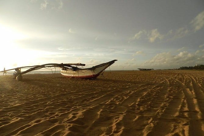 Half Day Tour to Muthurajawela, Lagoon, Dutch Canal and Mangroves - Negombo Lagoon and the fishermen at work