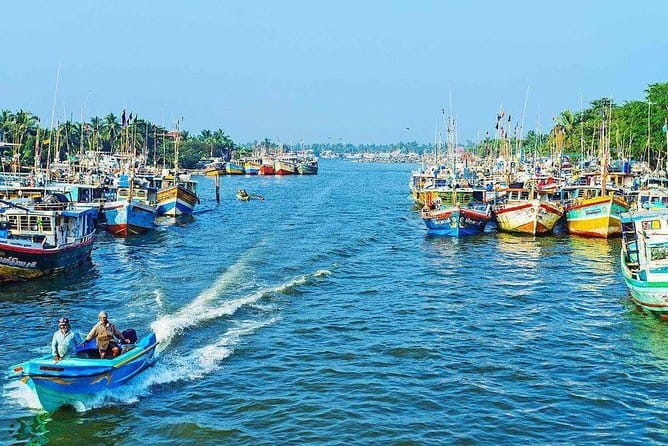 Half Day Tour to Muthurajawela, Lagoon, Dutch Canal and Mangroves - Muthurajawela Marsh and its mangrove channels