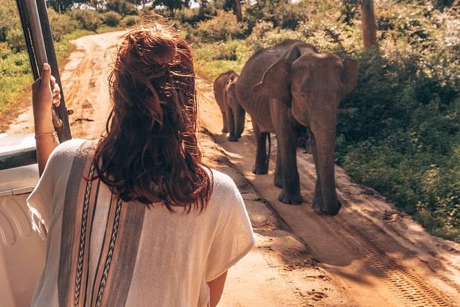 Half Day Udawalawe Safari (Entrance + Lunch) - How to prepare for a better safari