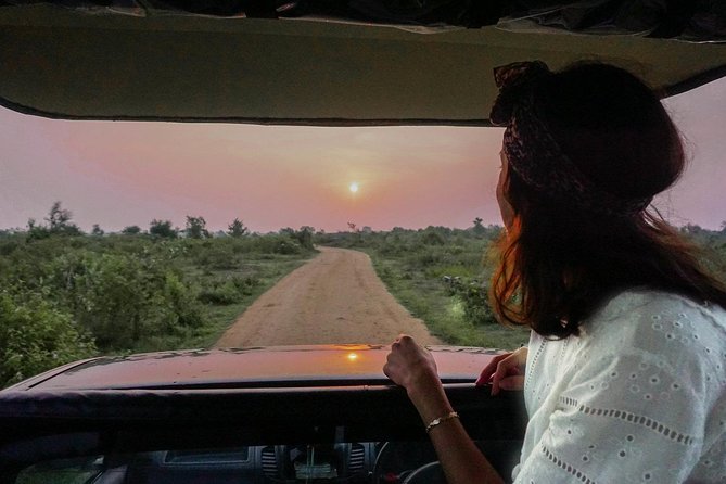 Half Day Udawalawe Safari from Kalutara (Entrance + Lunch) - Is $190 per person good value?