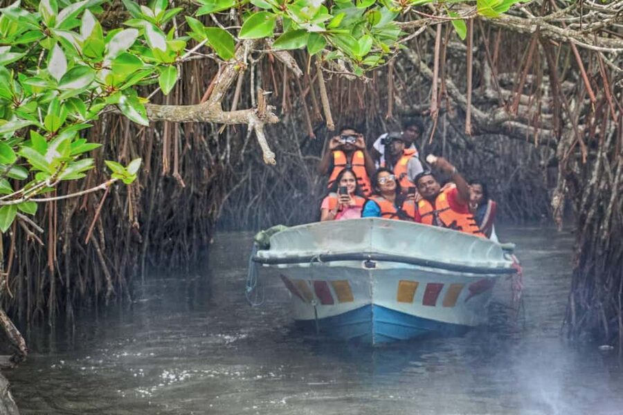 Hambantota Port: Galle Fort ,River Safari & Sea Turtle Visit - Key points to know before booking