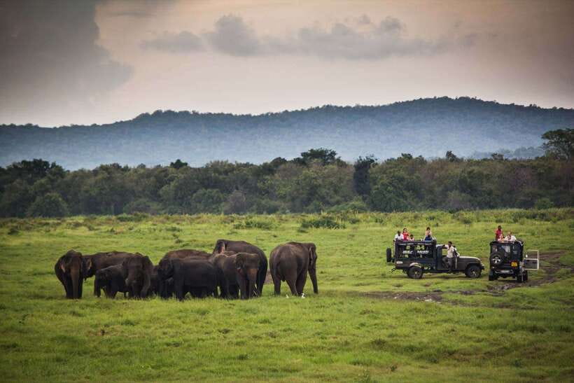 Hambantota Port: Udawalawe Safari Tour & Transit Home Visit - Timing, port details, and pace