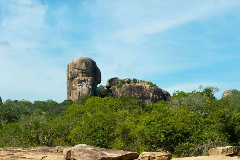 Hambantota Shore Excursion: Village and Cultural tour - Countryside, beach, and the Hambantota area