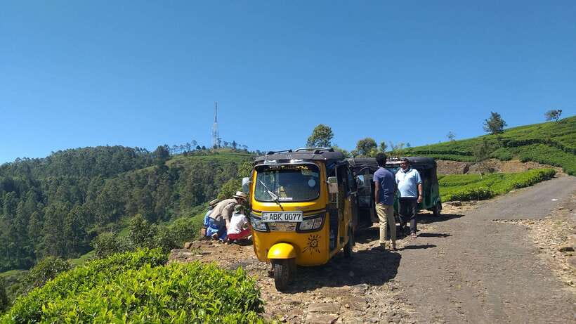 Haputale:Glorious Tuk Tuk Ride to Lipton'sSeat & Tea Factory - Inside Dambatenne Tea Factory