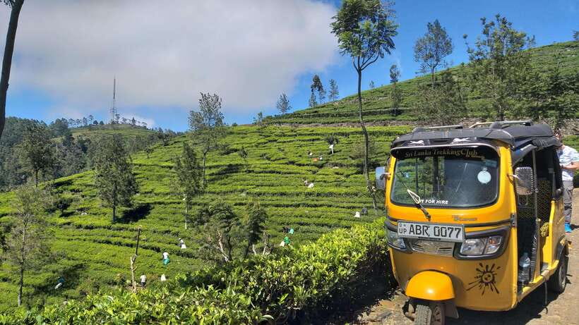 Haputale:Glorious Tuk Tuk Ride to Lipton'sSeat & Tea Factory - Who will enjoy this tuk tuk outing