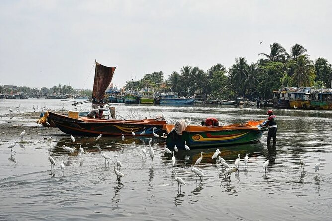 Heritage & Cultural Walk in Negombo - Guides make the difference on this private walk