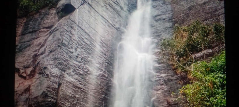 High-Grown Tea & Waterfall Wonders of Nuwara Eliya by tuktuk - Seeing tea production at Damro
