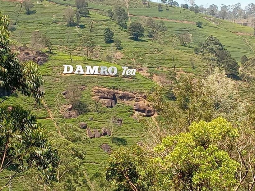 High-Grown Tea & Waterfall Wonders of Nuwara Eliya by tuktuk - Puna Ella Falls: a quick first waterfall