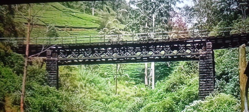 High-Grown Tea & Waterfall Wonders of Nuwara Eliya by tuktuk - What the tuk-tuk format changes